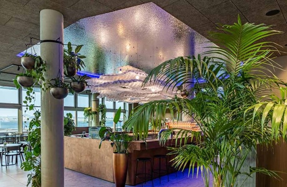 Homapal Gluck in Sicht Hafencity Restaurant Case Study