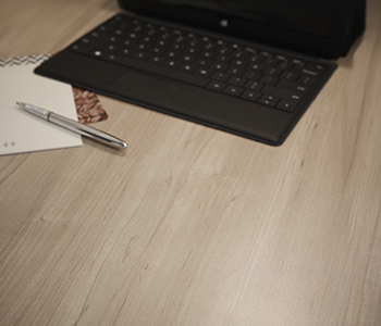 Castle.Proxies.IUpCardProxy?.CardImage?.AltText