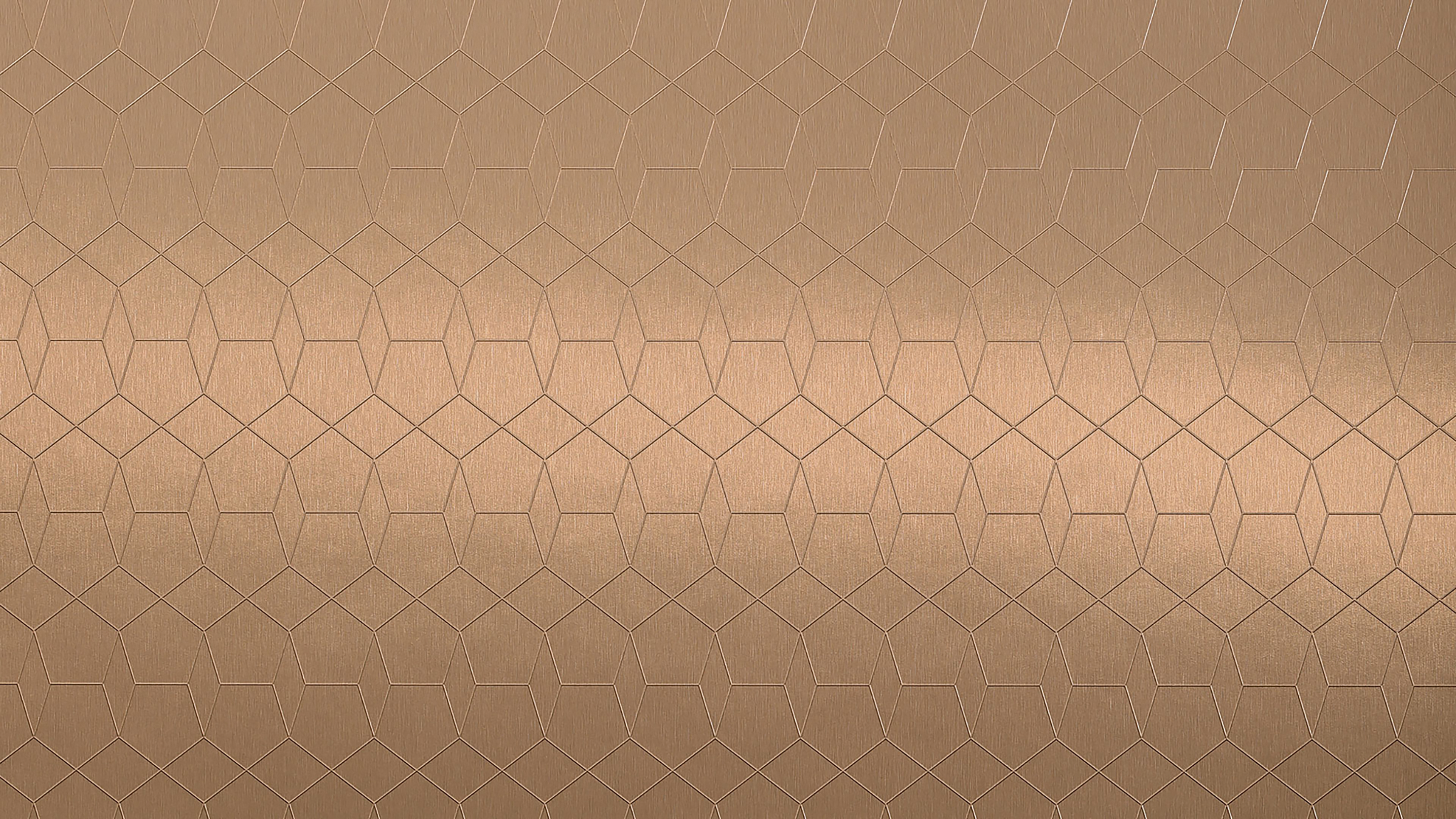 D4904 Swatch