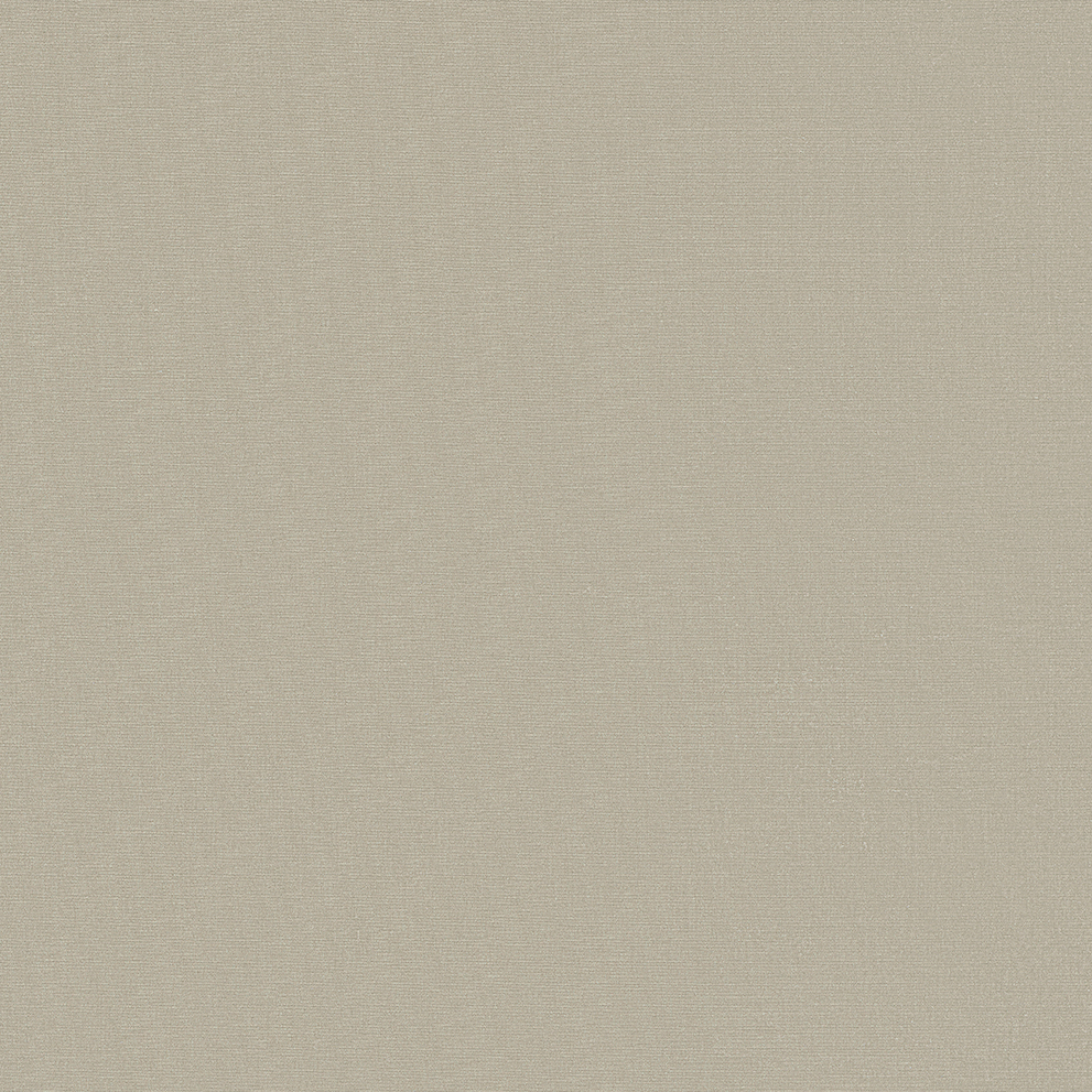 D6433 Swatch